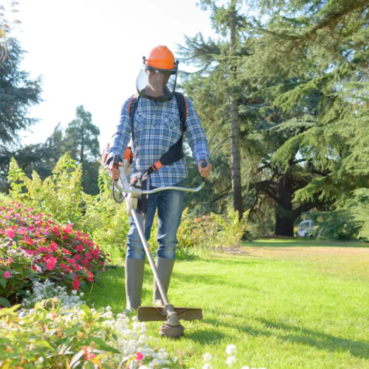 residential Landscape Maintenance Services