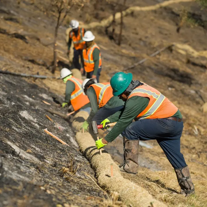 Landscape Restoration Services