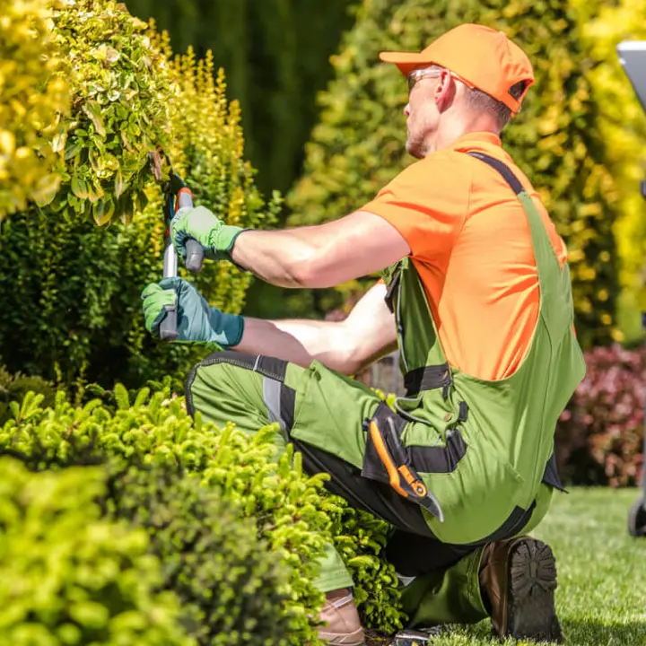 landscape maintenance Services